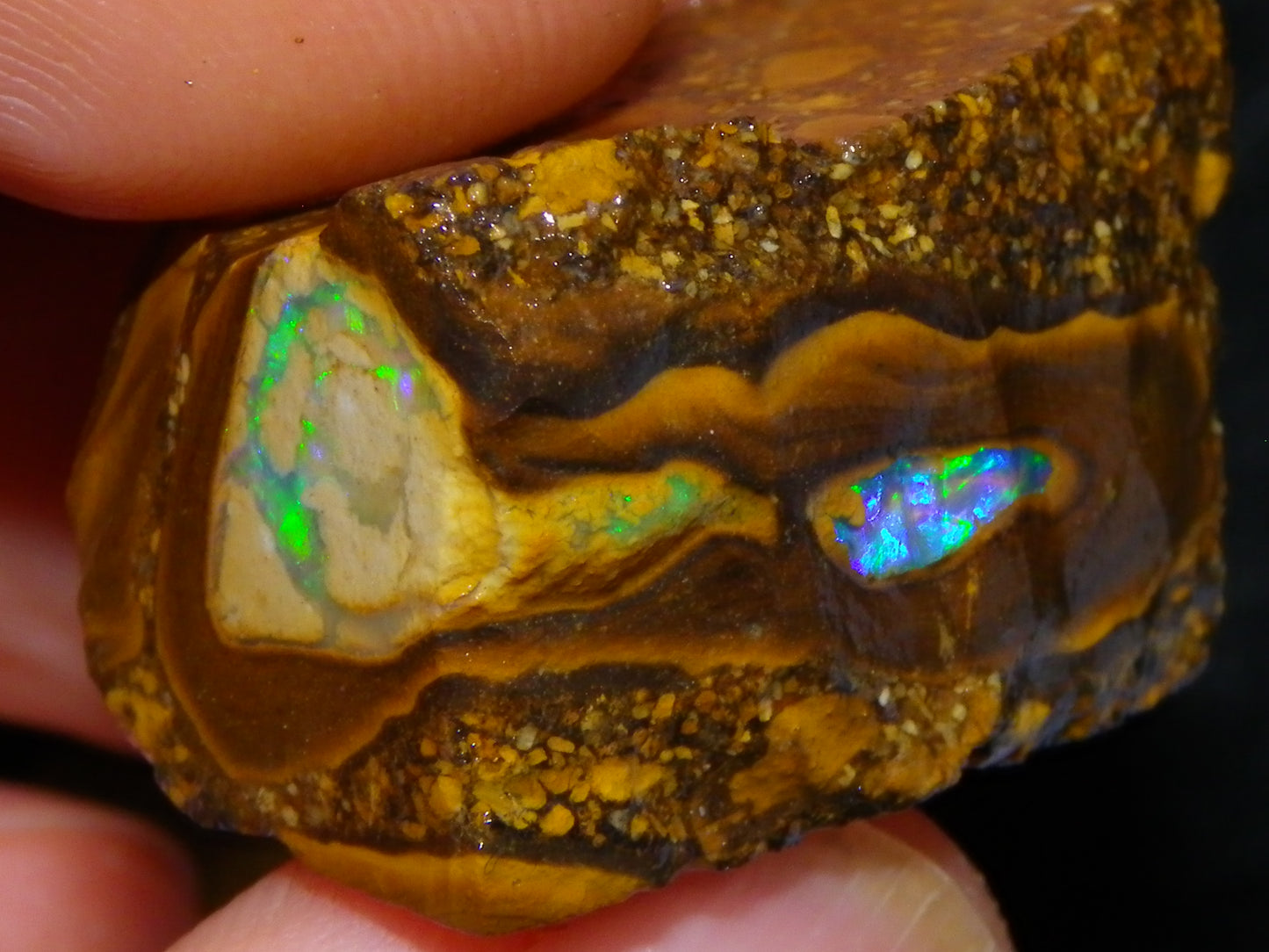 3 Nice Pipe/Crystal Opal Rough specimens 174.5cts Queensland, Opalton Australia