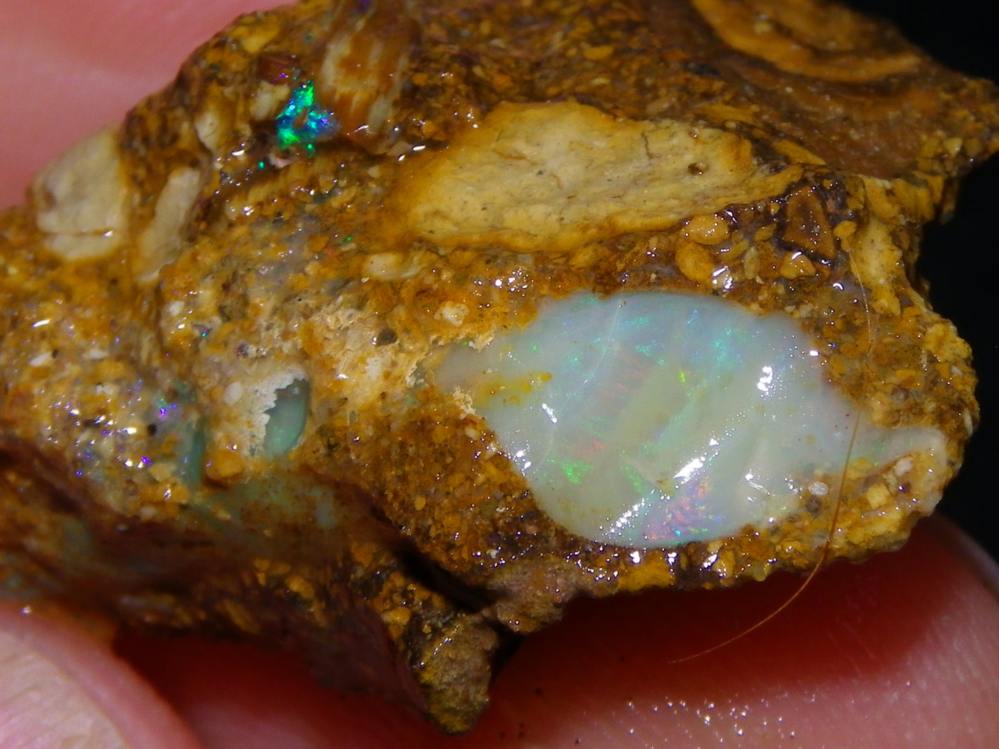3 Nice Pipe/Crystal Opal Rough specimens 174.5cts Queensland, Opalton Australia