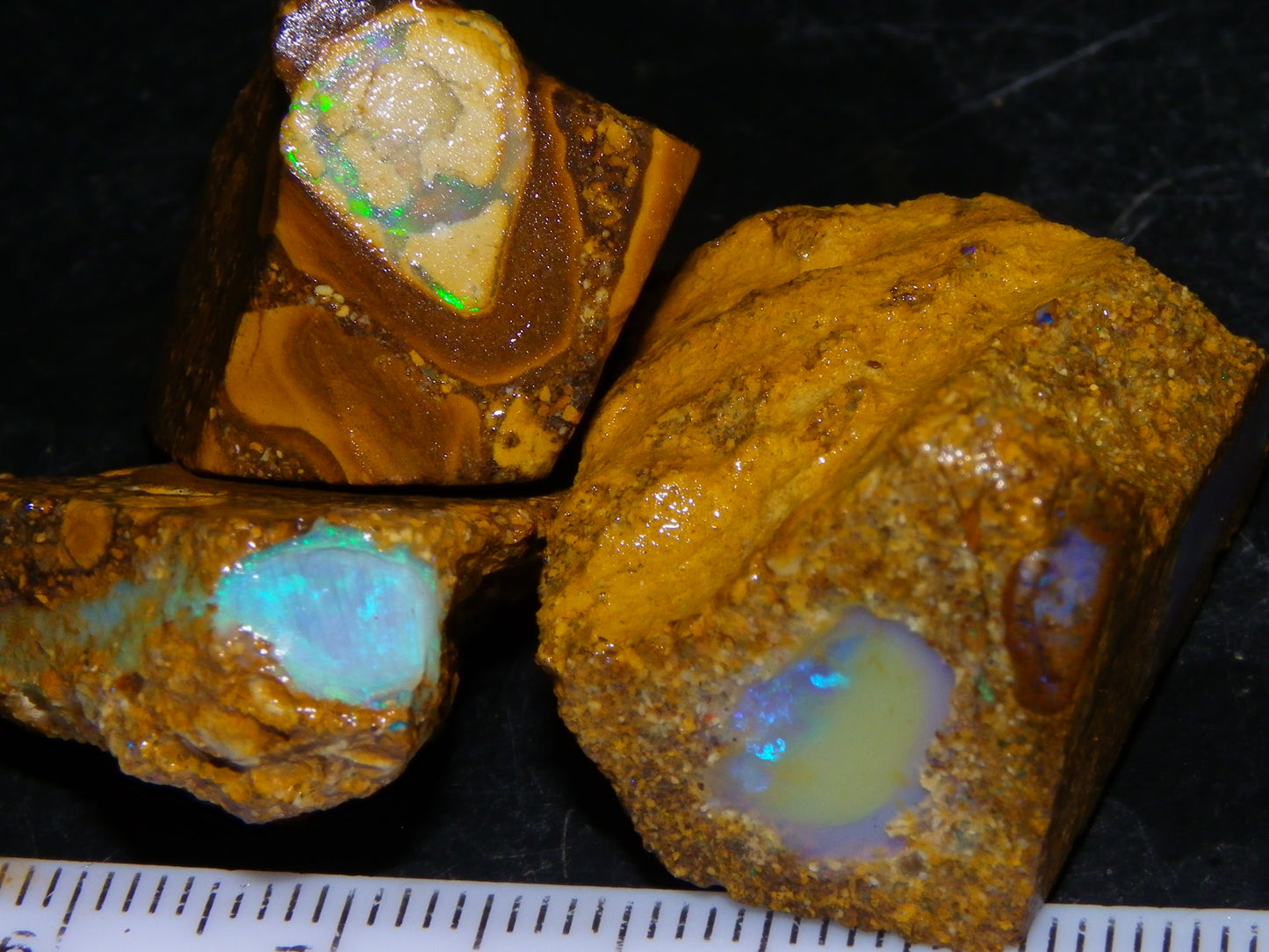 3 Nice Pipe/Crystal Opal Rough specimens 174.5cts Queensland, Opalton Australia
