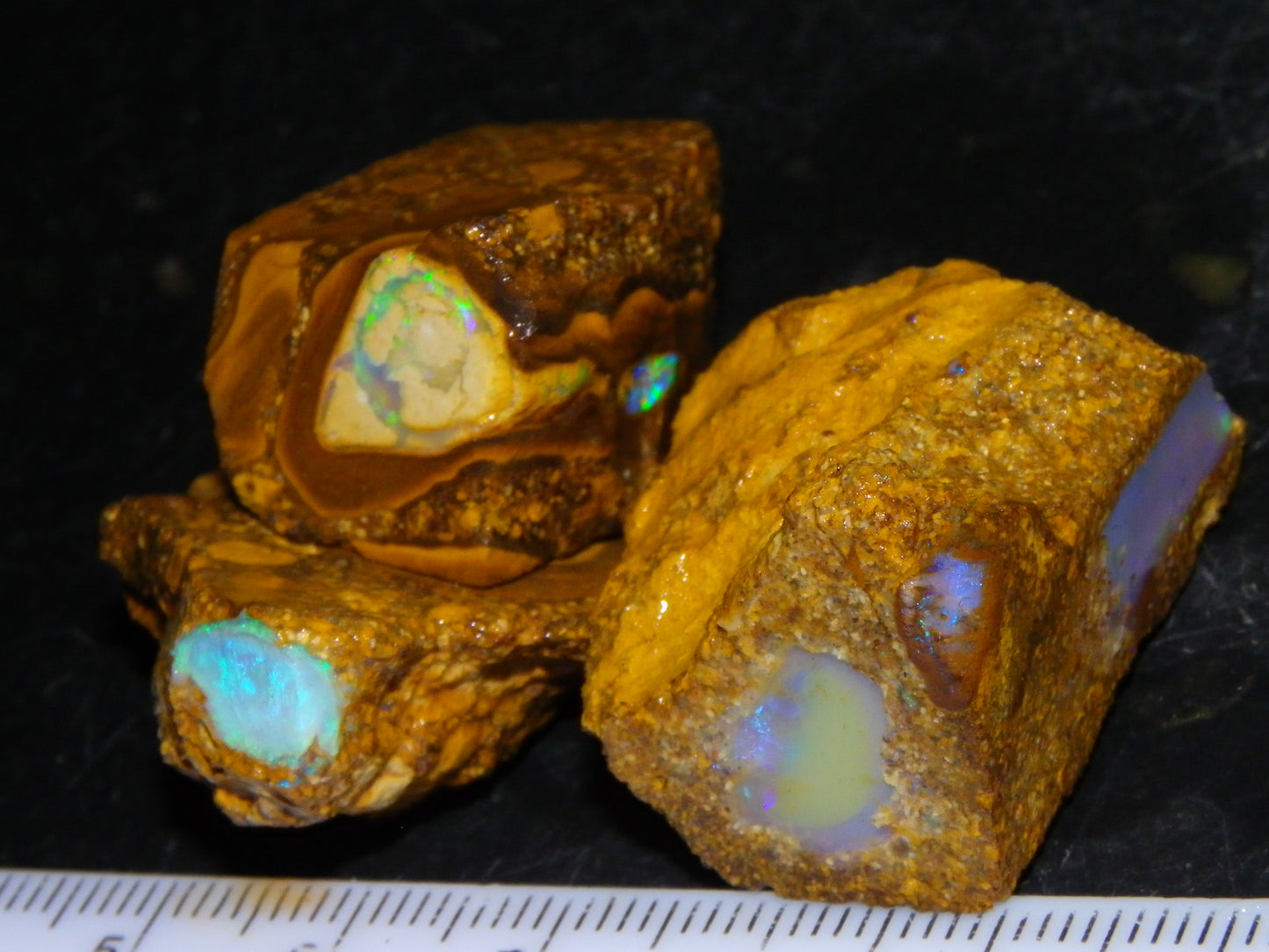 3 Nice Pipe/Crystal Opal Rough specimens 174.5cts Queensland, Opalton Australia