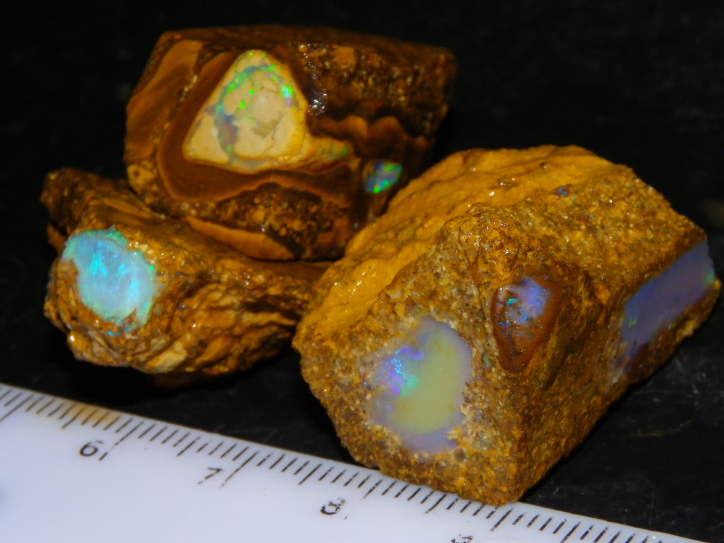 3 Nice Pipe/Crystal Opal Rough specimens 174.5cts Queensland, Opalton Australia