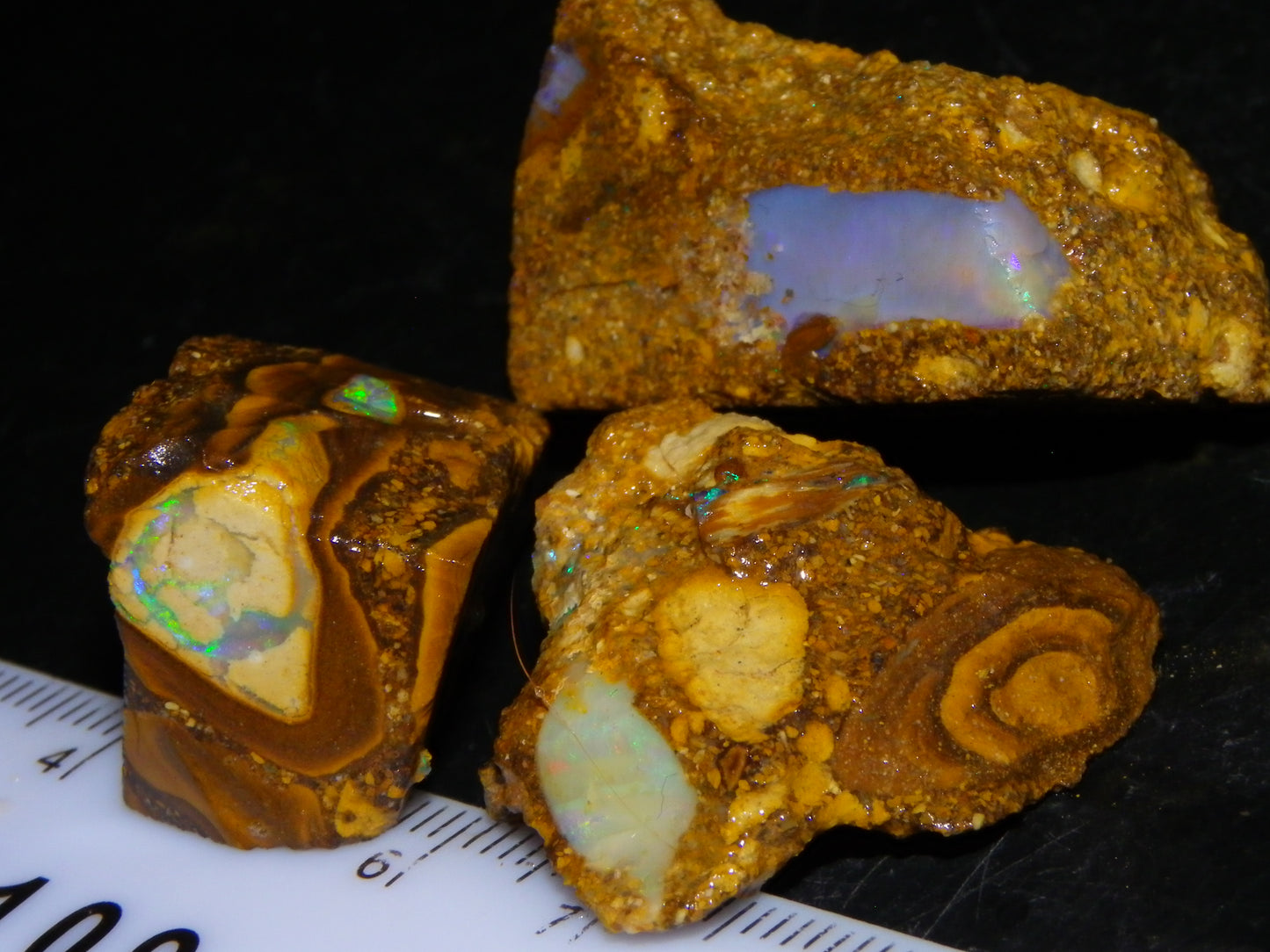3 Nice Pipe/Crystal Opal Rough specimens 174.5cts Queensland, Opalton Australia