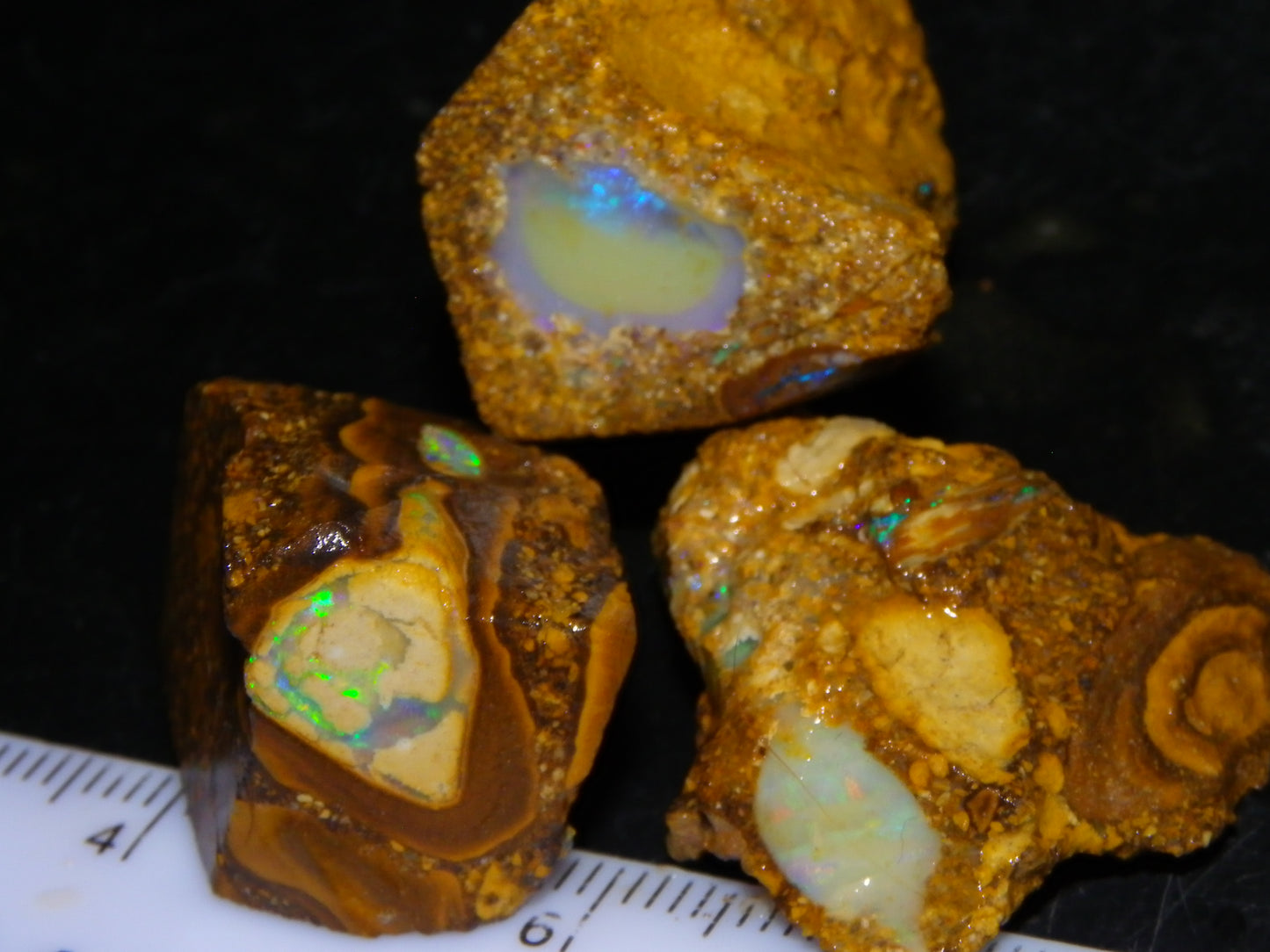 3 Nice Pipe/Crystal Opal Rough specimens 174.5cts Queensland, Opalton Australia