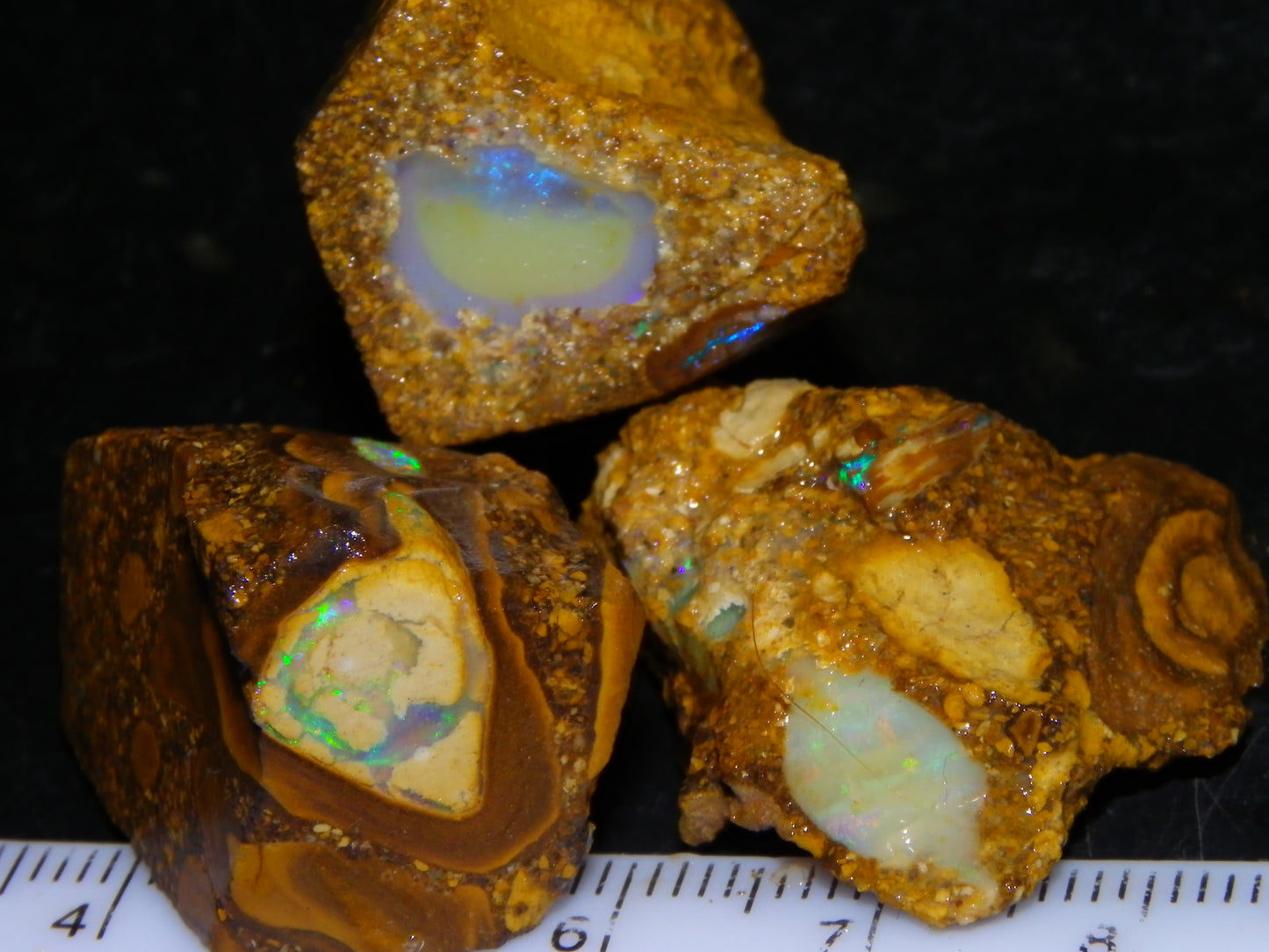 3 Nice Pipe/Crystal Opal Rough specimens 174.5cts Queensland, Opalton Australia