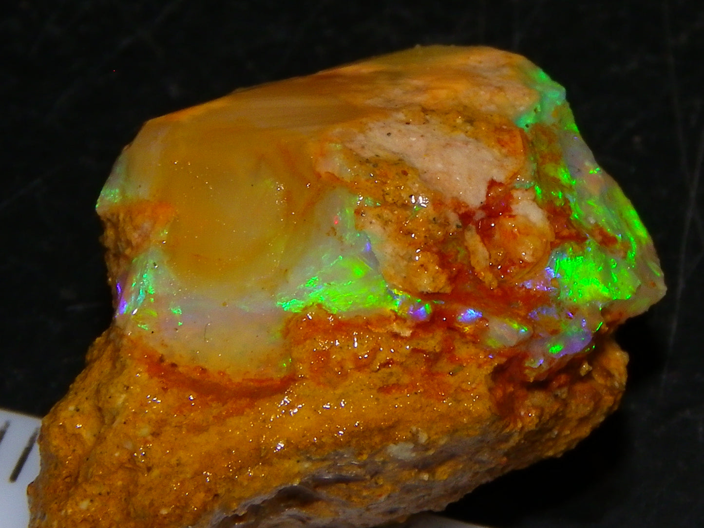 Nice Rough Pipe/Crystal Opal Parcel 163.5cts Blue/Green/Purple Fires Australia