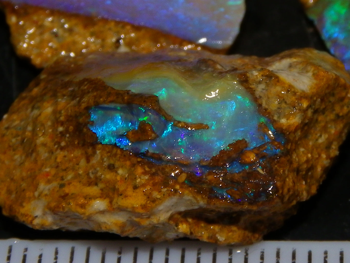 Nice Rough Pipe/Crystal Opal Parcel 163.5cts Blue/Green/Purple Fires Australia