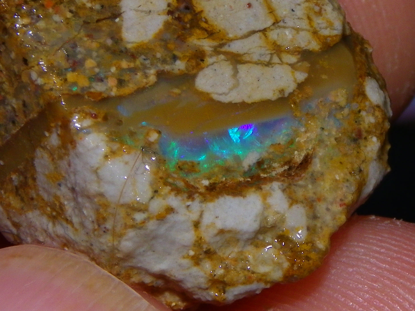 Nice Rough Pipe/Crystal Opal Parcel 163.5cts Blue/Green/Purple Fires Australia