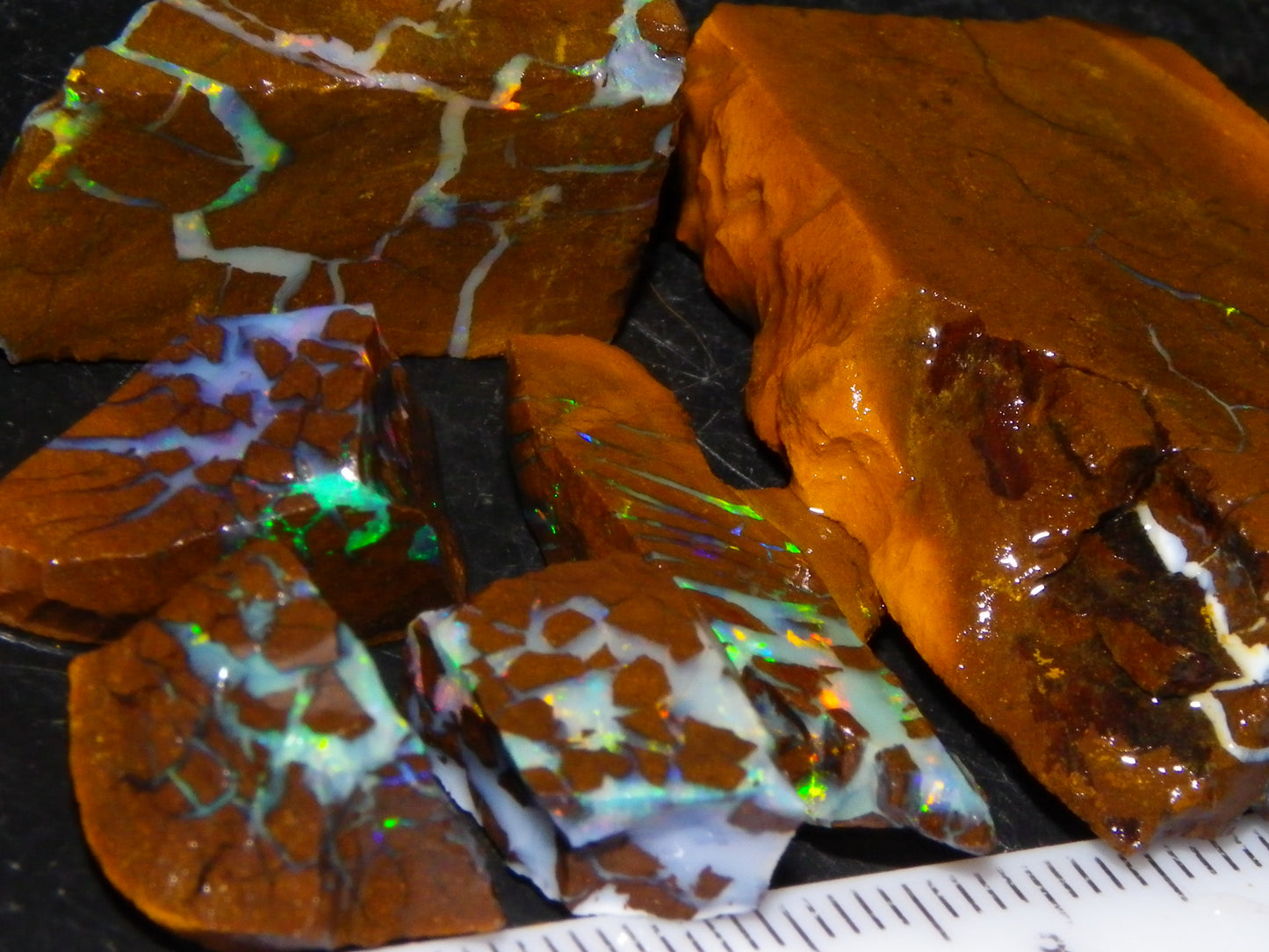 Nice Rough/Sliced Matrix Opal Parcel 229cts Opalton/Queensland Australia Veins