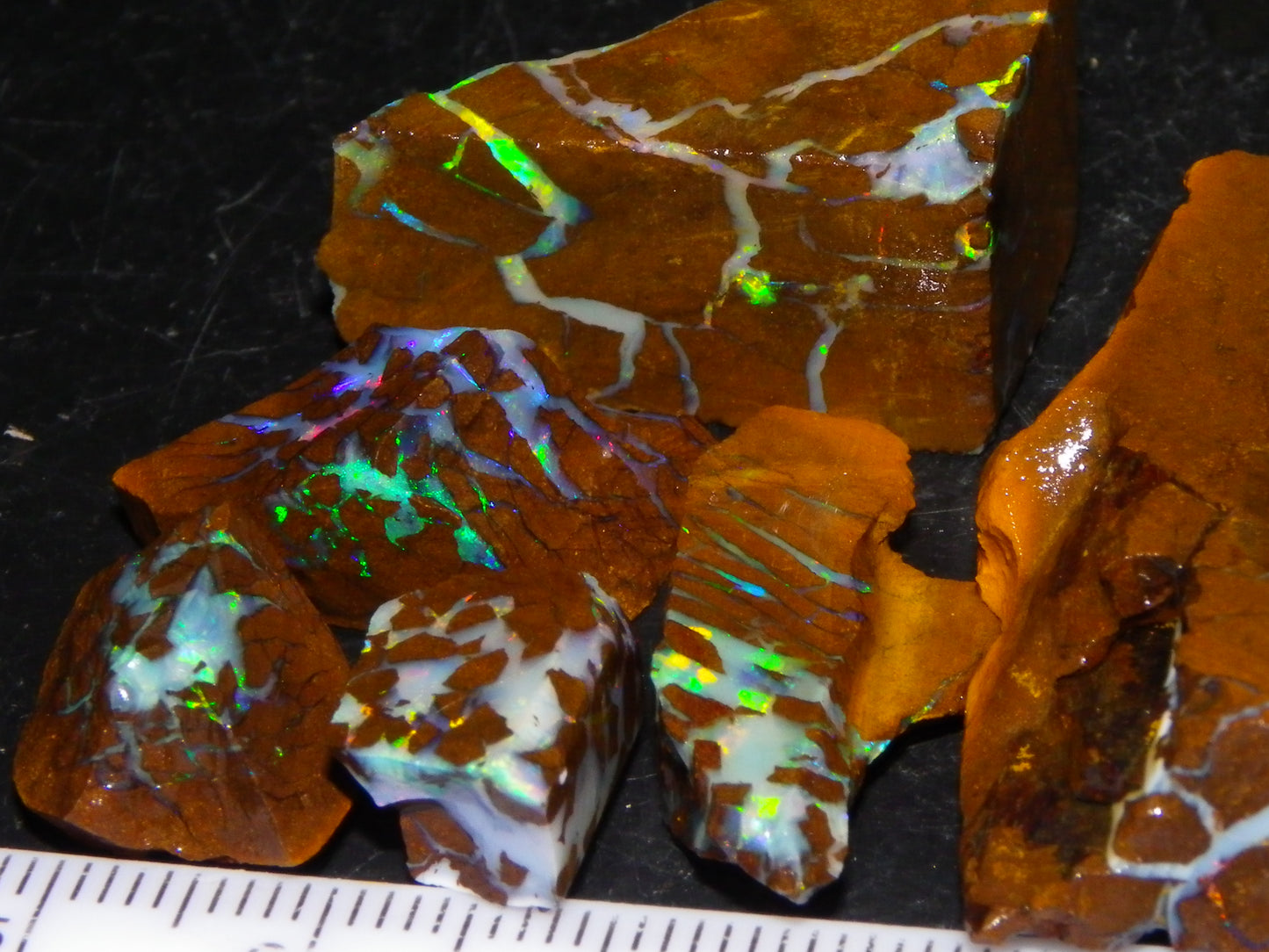 Nice Rough/Sliced Matrix Opal Parcel 229cts Opalton/Queensland Australia Veins