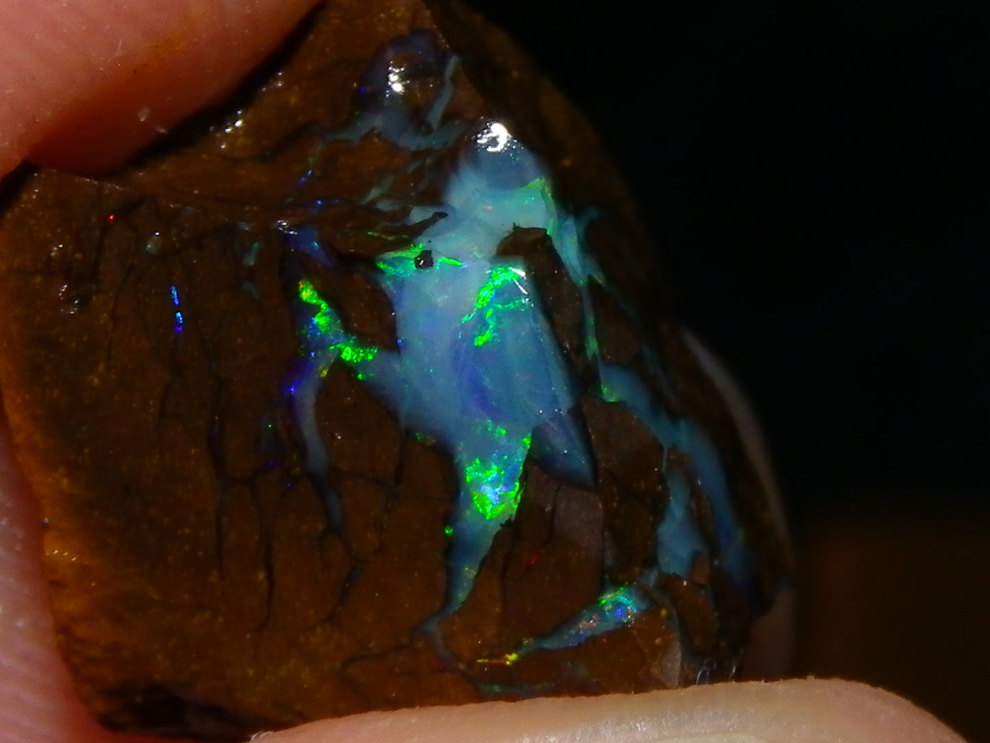 Nice Rough/Sliced Matrix Opal Parcel 229cts Opalton/Queensland Australia Veins