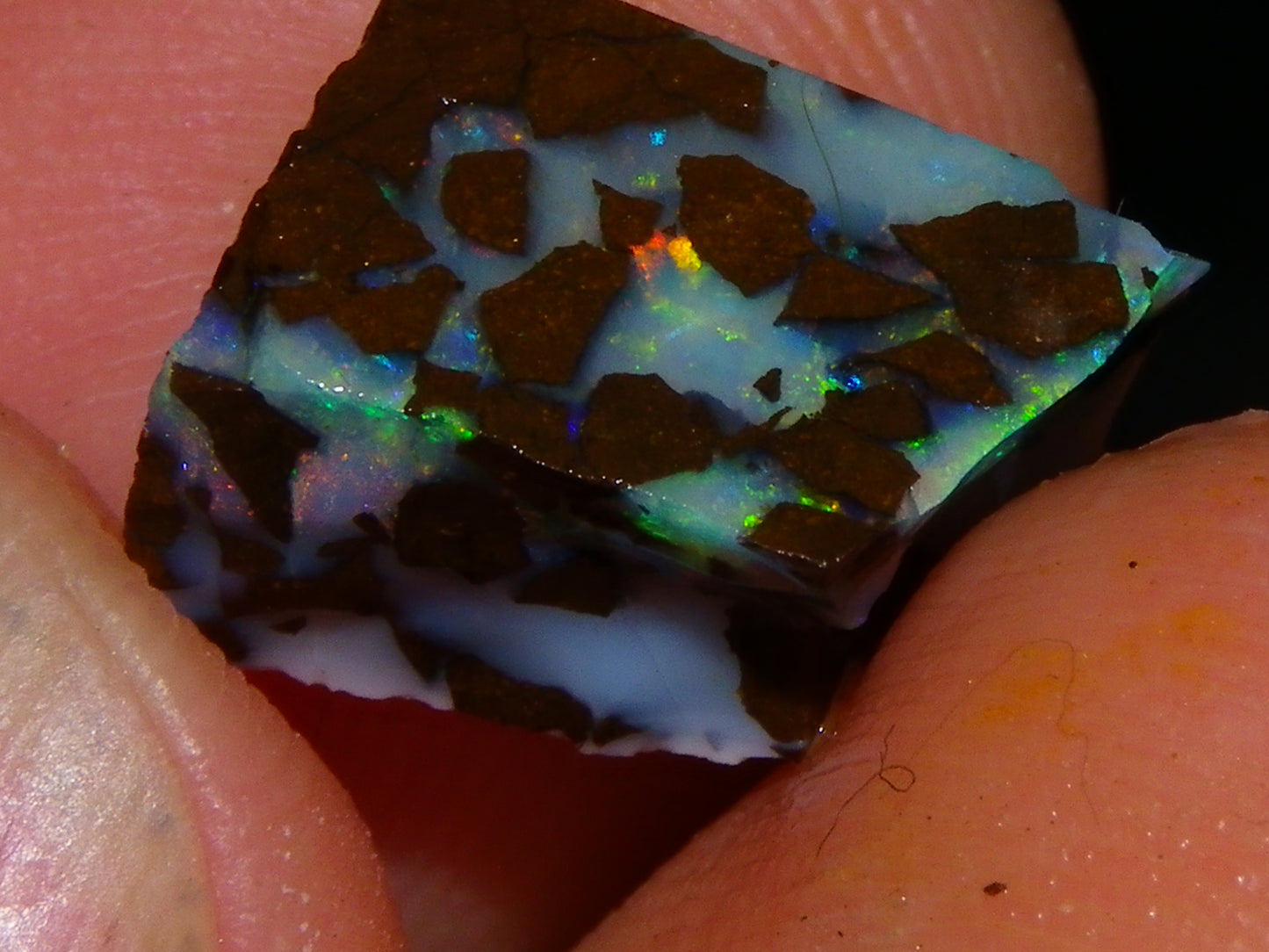 Nice Rough/Sliced Matrix Opal Parcel 229cts Opalton/Queensland Australia Veins