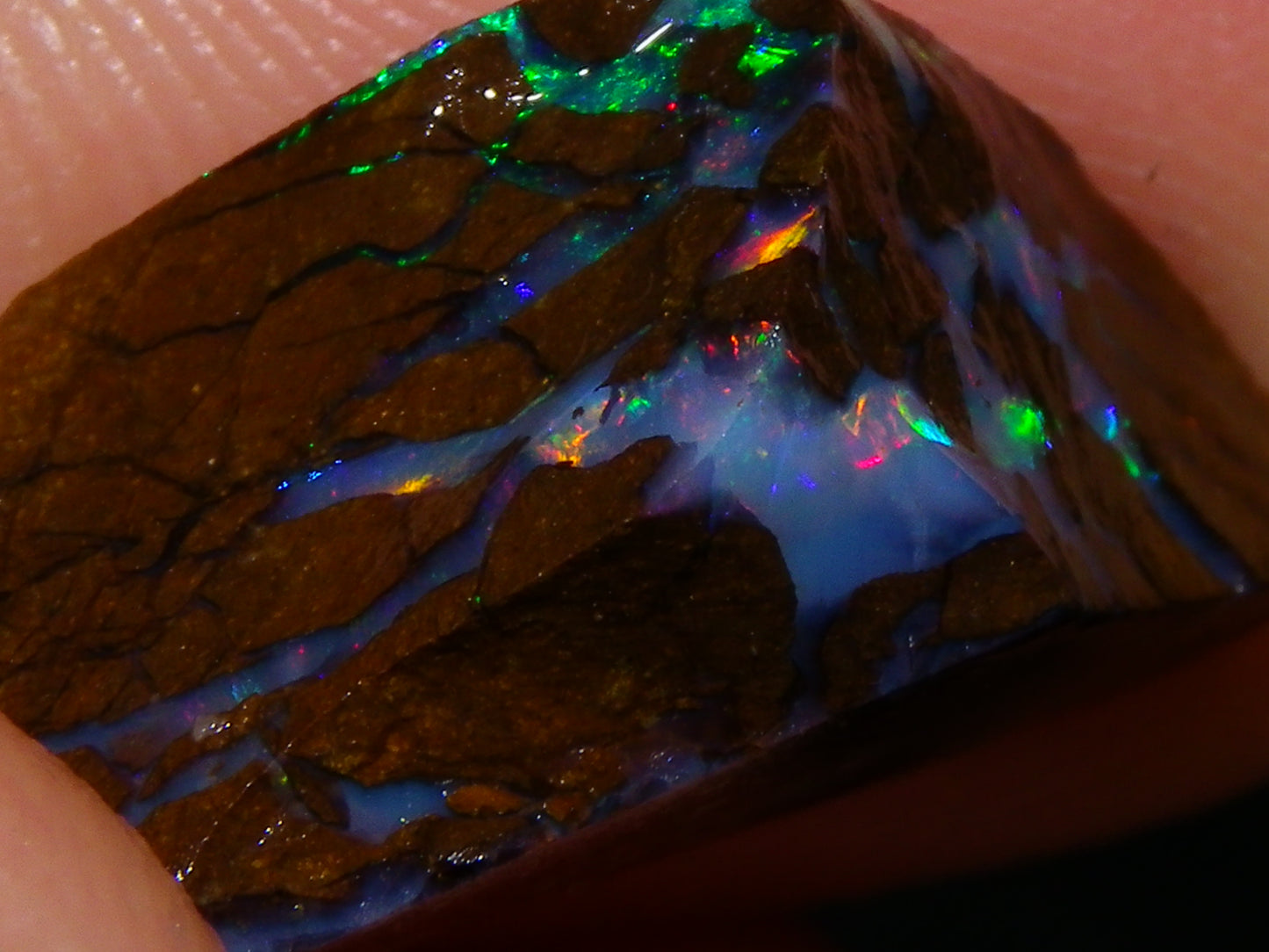 Nice Rough/Sliced Matrix Opal Parcel 229cts Opalton/Queensland Australia Veins