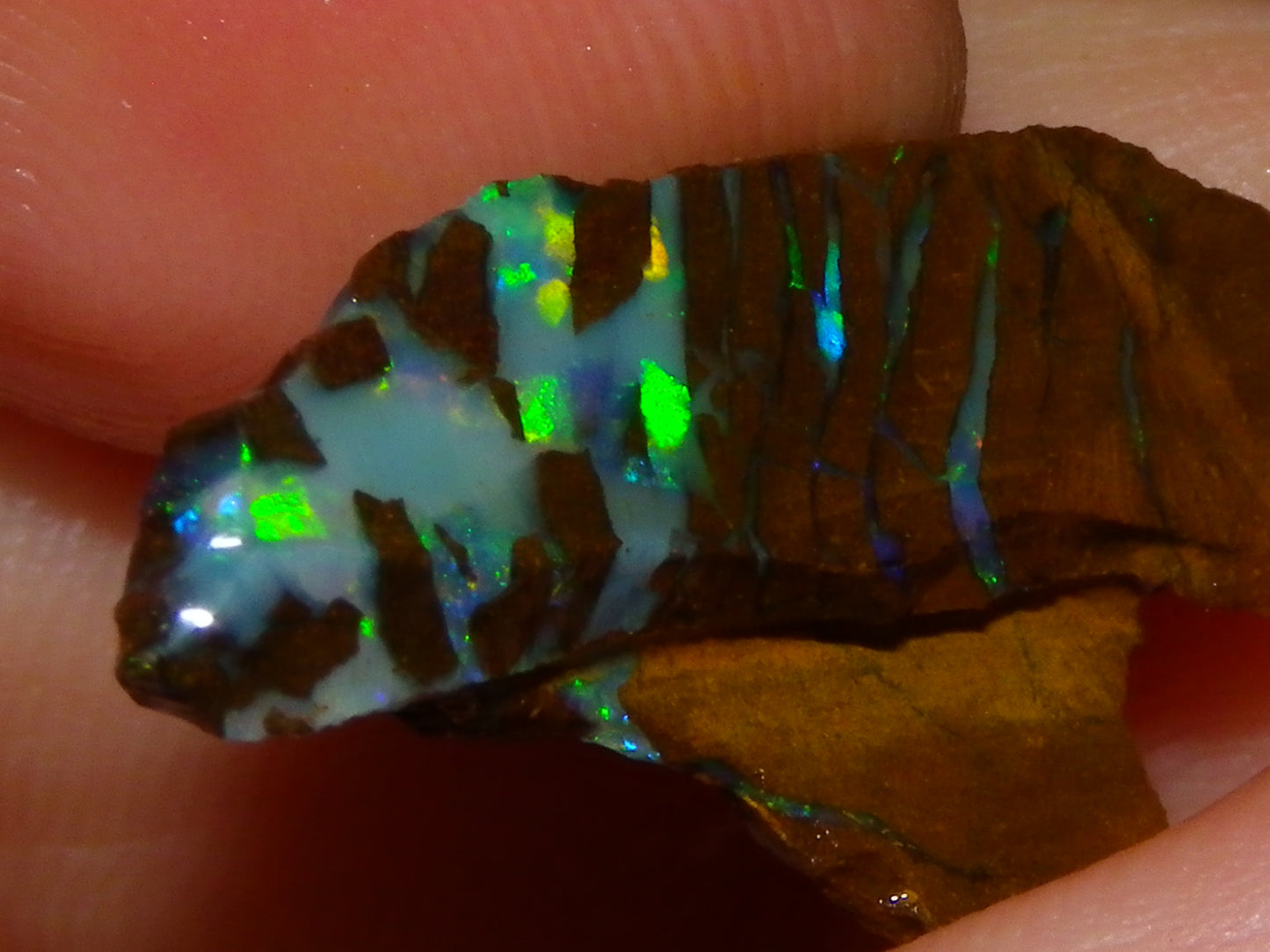 Nice Rough/Sliced Matrix Opal Parcel 229cts Opalton/Queensland Australia Veins
