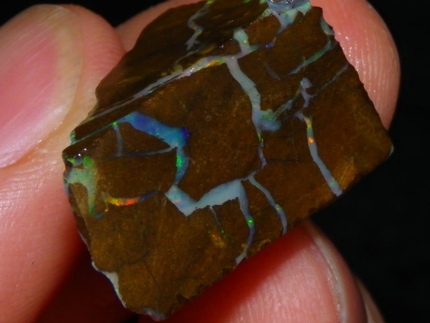 Nice Rough/Sliced Matrix Opal Parcel 229cts Opalton/Queensland Australia Veins