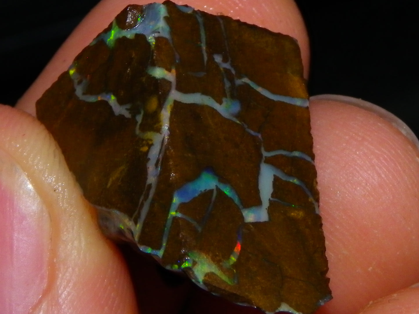 Nice Rough/Sliced Matrix Opal Parcel 229cts Opalton/Queensland Australia Veins
