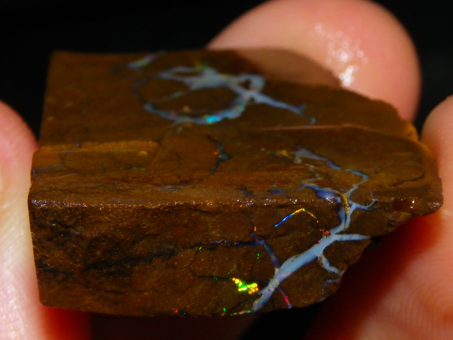 Nice Rough/Sliced Matrix Opal Parcel 229cts Opalton/Queensland Australia Veins