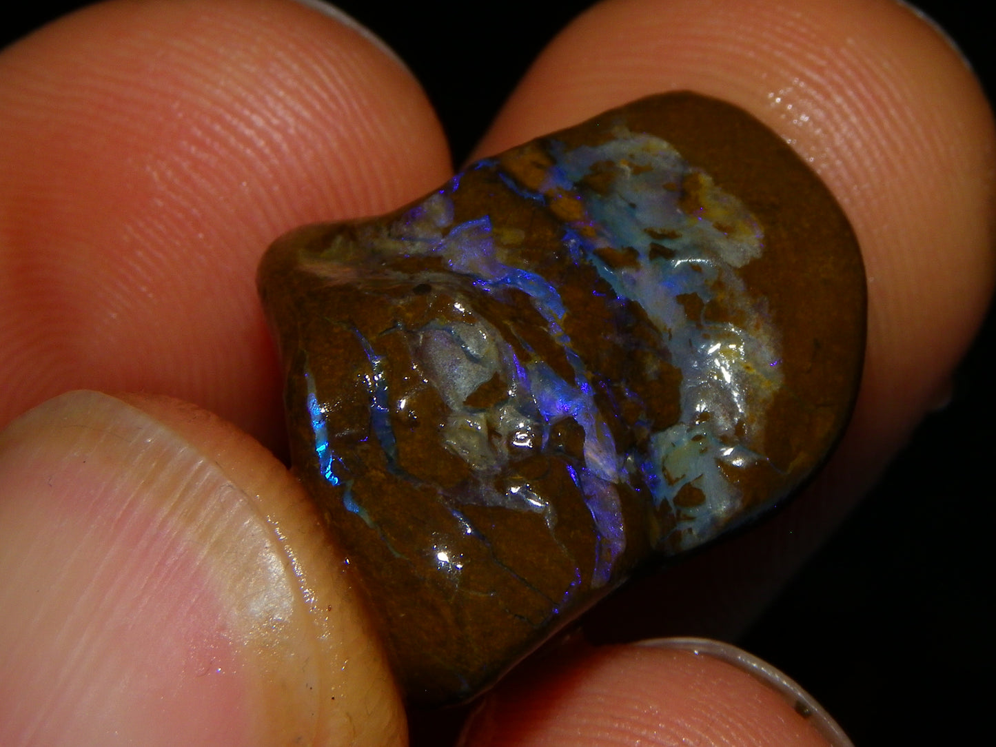 4 Rough/Tumbled Matrix Opals 251cts Queensland Blue/Purples Fires Ironstones Au