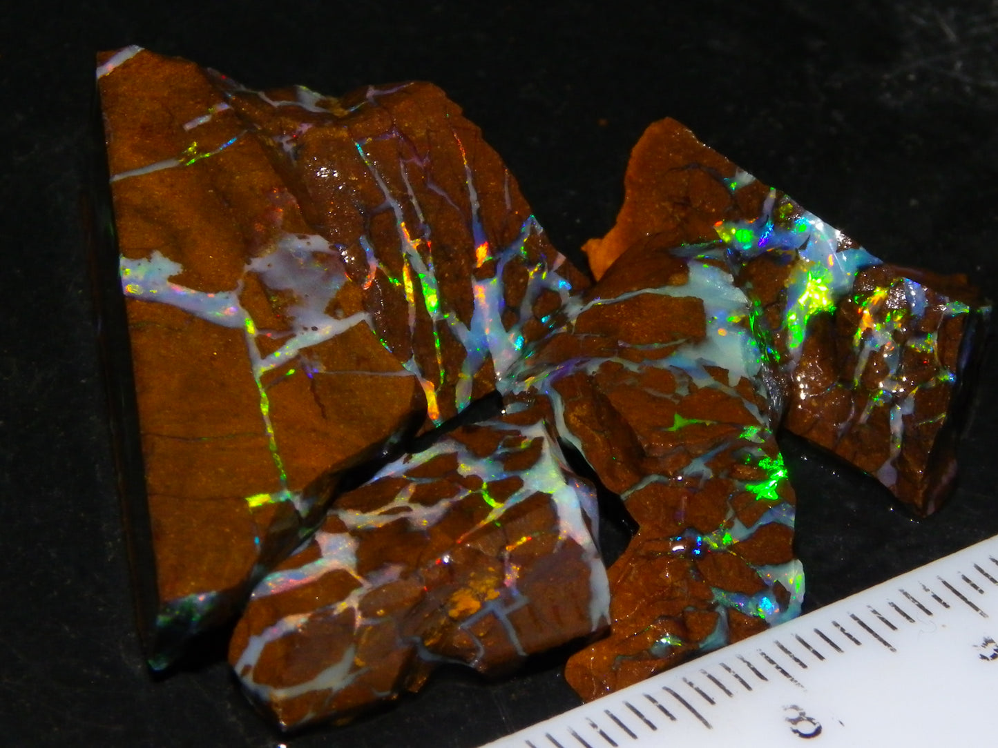 Nice Quality Opalton Gem Matrix Opal Parcel 80cts Queensland Australia Fires