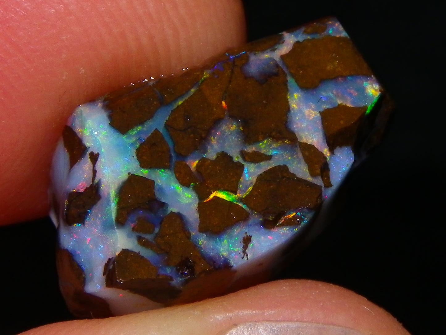 Nice Quality Opalton Gem Matrix Opal Parcel 80cts Queensland Australia Fires