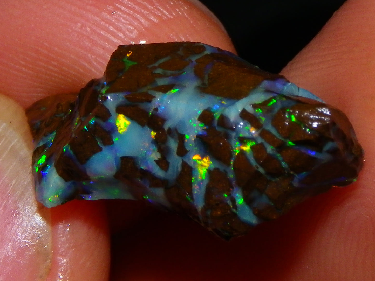 Nice Quality Opalton Gem Matrix Opal Parcel 80cts Queensland Australia Fires
