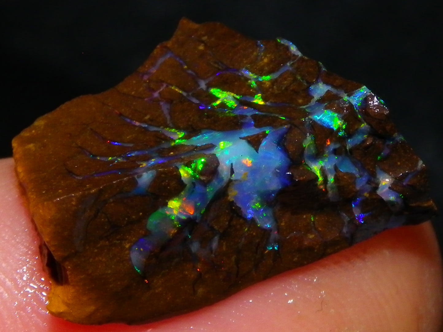 Nice Quality Opalton Gem Matrix Opal Parcel 80cts Queensland Australia Fires