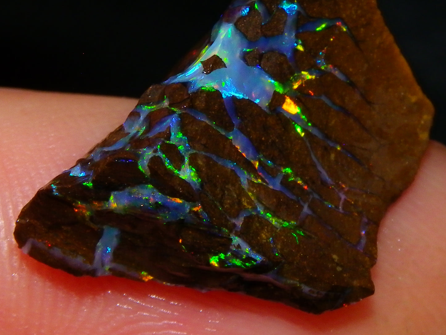 Nice Quality Opalton Gem Matrix Opal Parcel 80cts Queensland Australia Fires