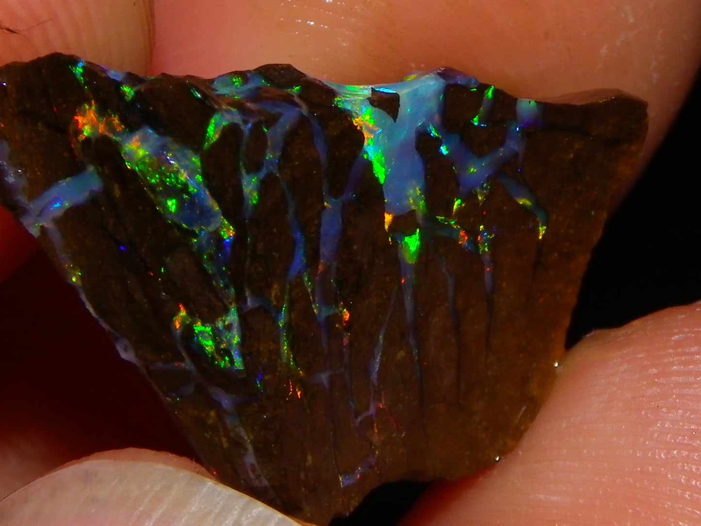 Nice Quality Opalton Gem Matrix Opal Parcel 80cts Queensland Australia Fires