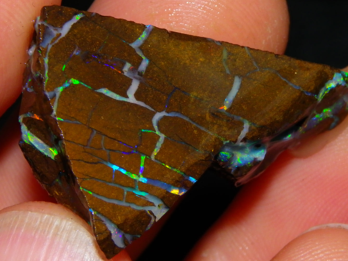 Nice Quality Opalton Gem Matrix Opal Parcel 80cts Queensland Australia Fires