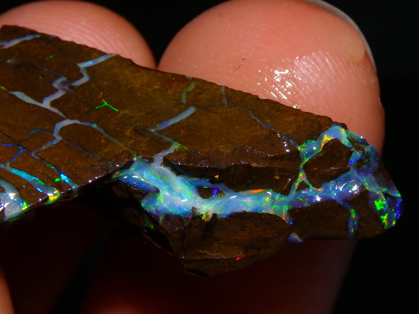 Nice Quality Opalton Gem Matrix Opal Parcel 80cts Queensland Australia Fires