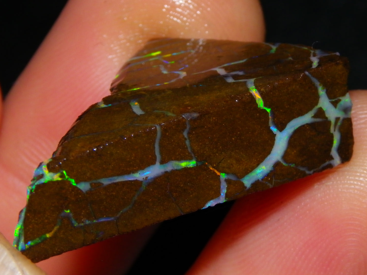 Nice Quality Opalton Gem Matrix Opal Parcel 80cts Queensland Australia Fires