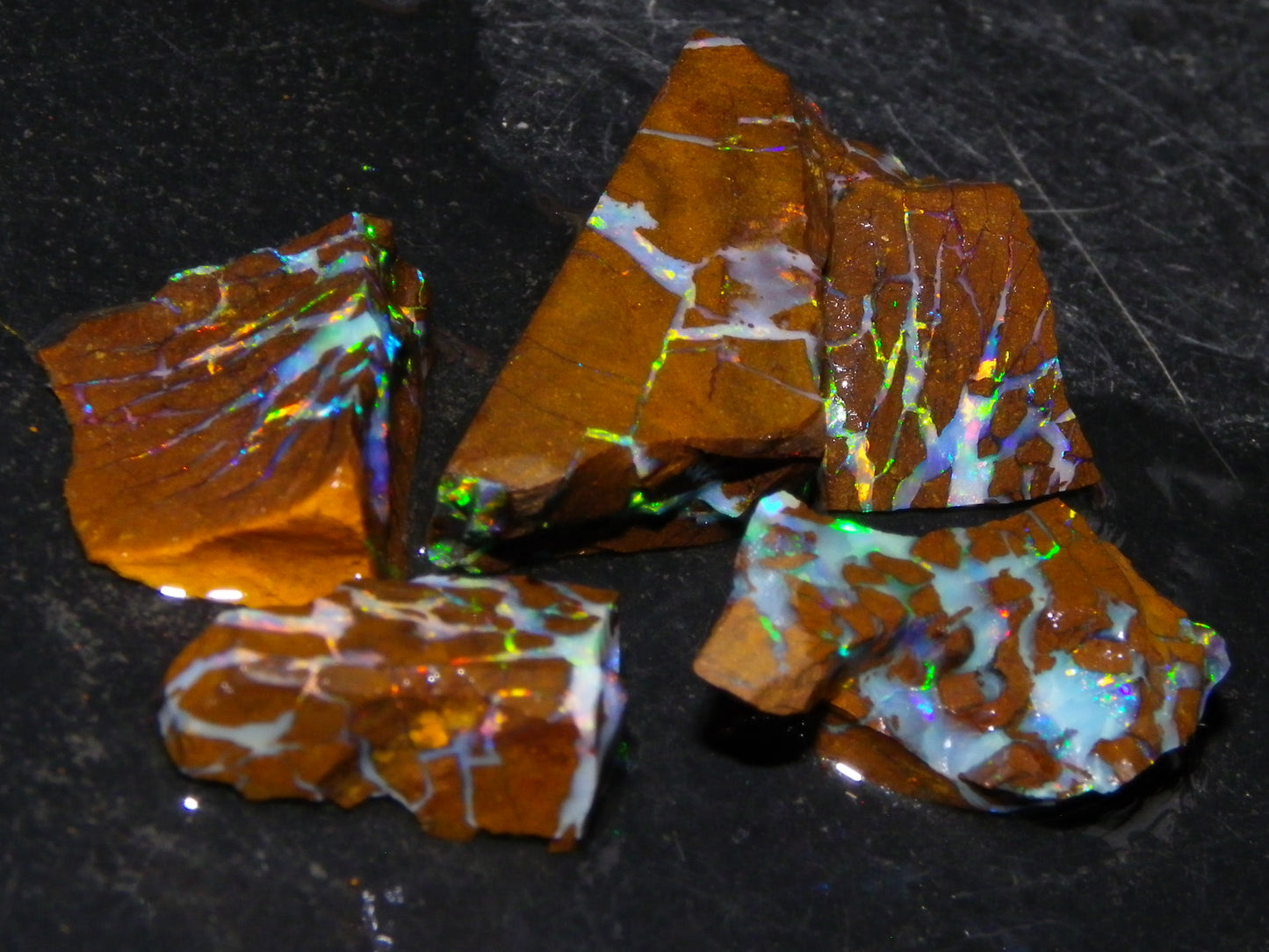 Nice Quality Opalton Gem Matrix Opal Parcel 80cts Queensland Australia Fires