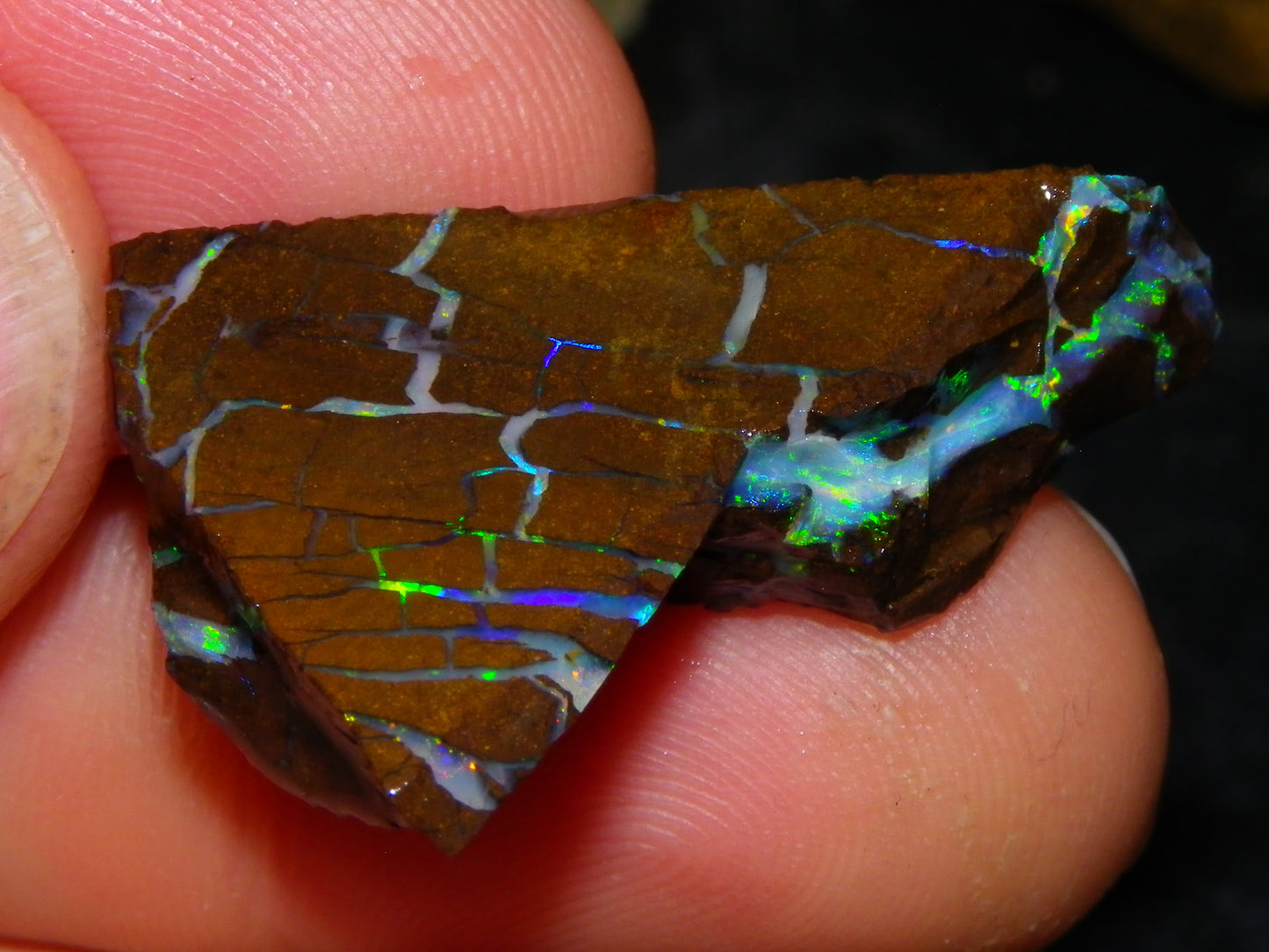 Nice Quality Opalton Gem Matrix Opal Parcel 80cts Queensland Australia Fires
