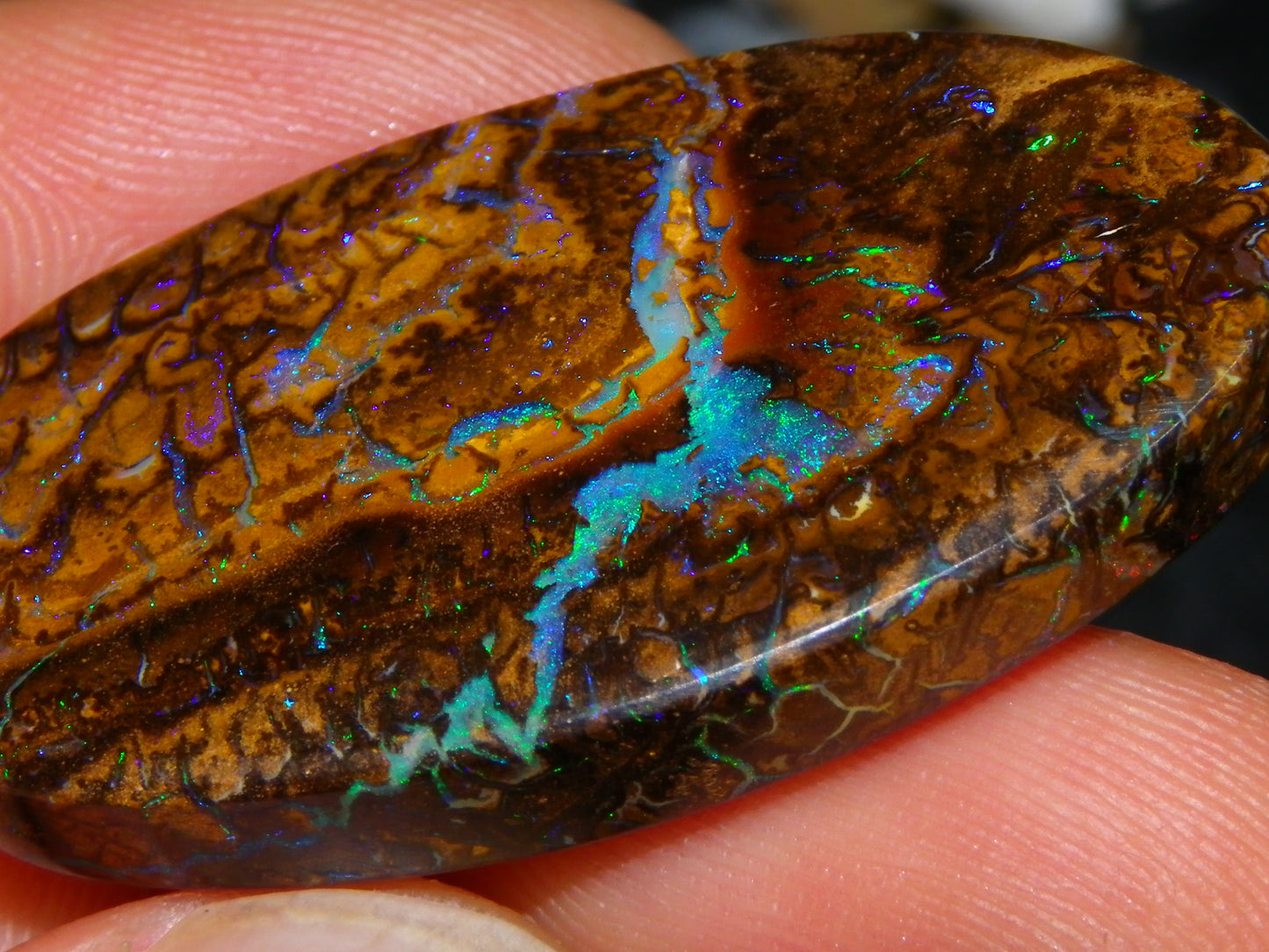 Quality Cut/Polished Koroit Opal Cab 61.1cts Blue/Green Patterns/Veins Queensland Au