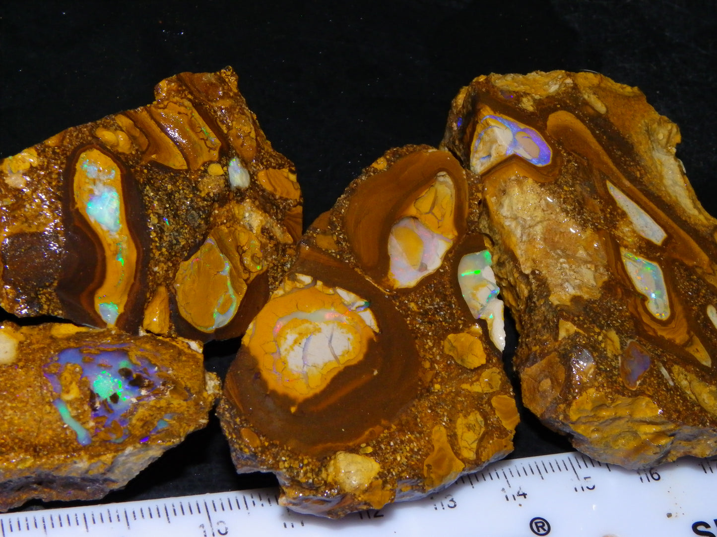 4 Nice Rough/Sliced Conglomerate/Boulder Opals 775cts Queensland Australia Nuts/Pods