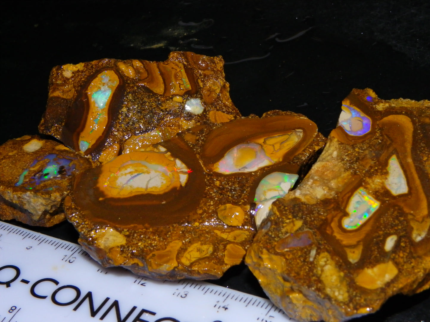 4 Nice Rough/Sliced Conglomerate/Boulder Opals 775cts Queensland Australia Nuts/Pods