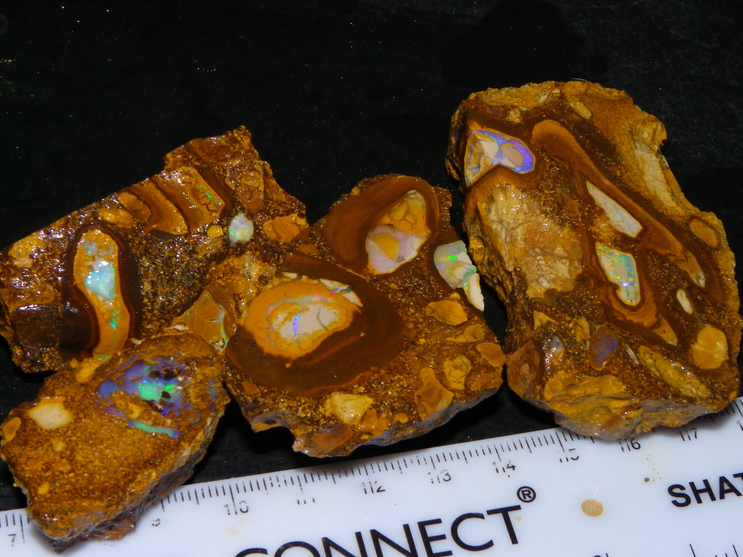 4 Nice Rough/Sliced Conglomerate/Boulder Opals 775cts Queensland Australia Nuts/Pods