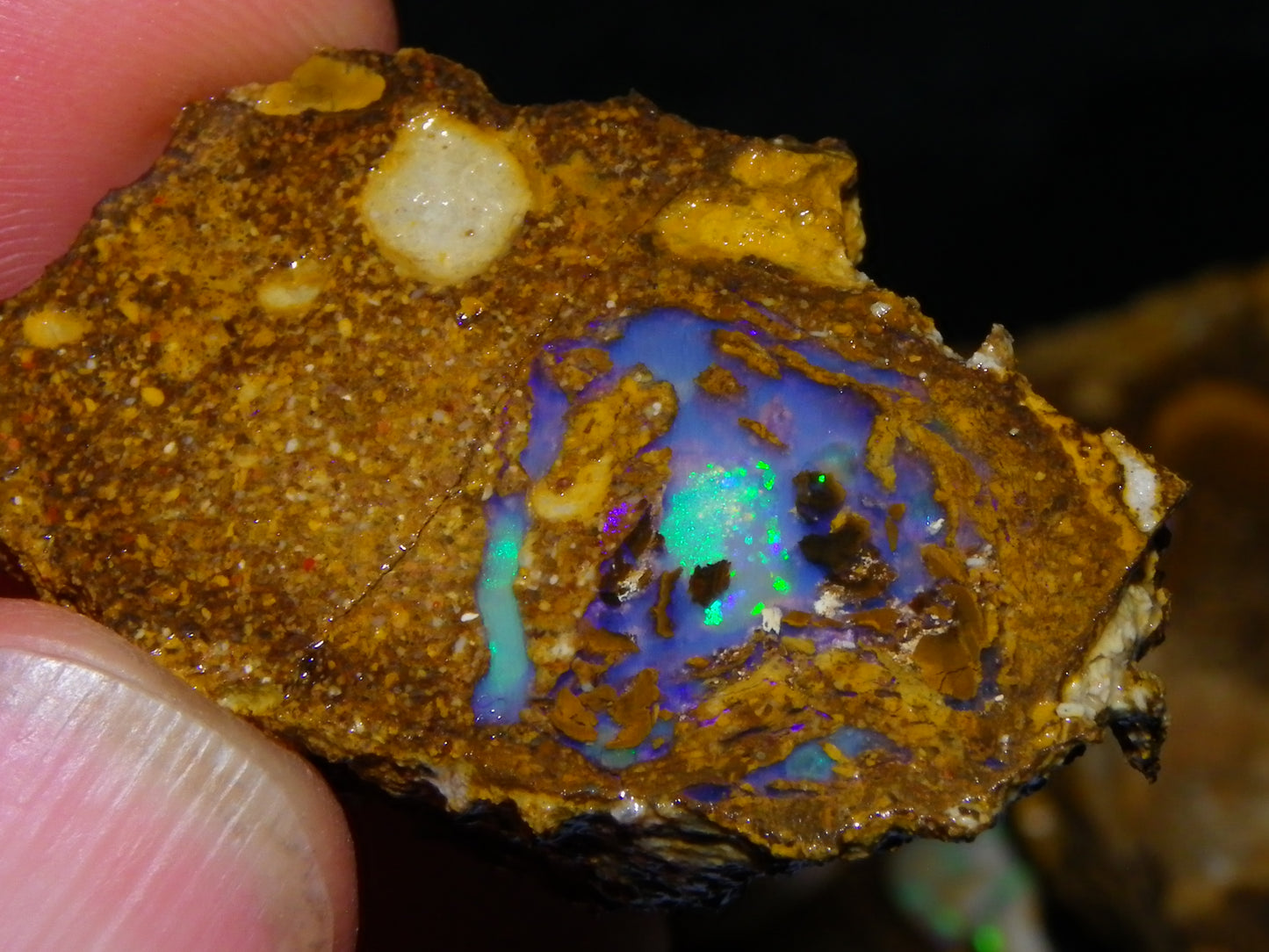 4 Nice Rough/Sliced Conglomerate/Boulder Opals 775cts Queensland Australia Nuts/Pods