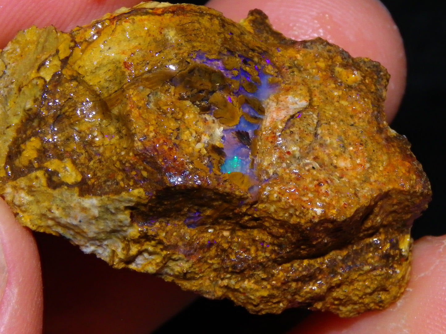 4 Nice Rough/Sliced Conglomerate/Boulder Opals 775cts Queensland Australia Nuts/Pods