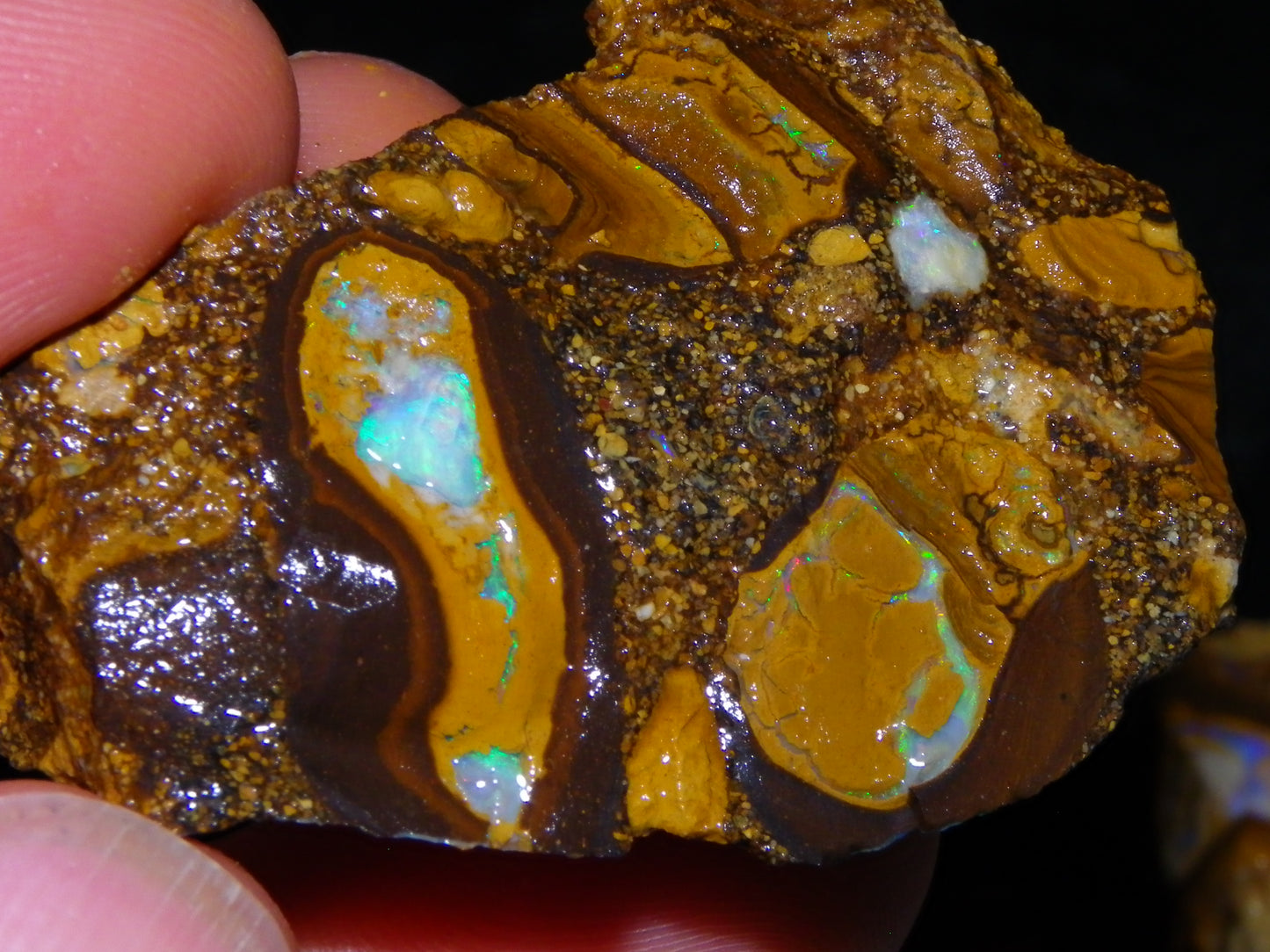 4 Nice Rough/Sliced Conglomerate/Boulder Opals 775cts Queensland Australia Nuts/Pods