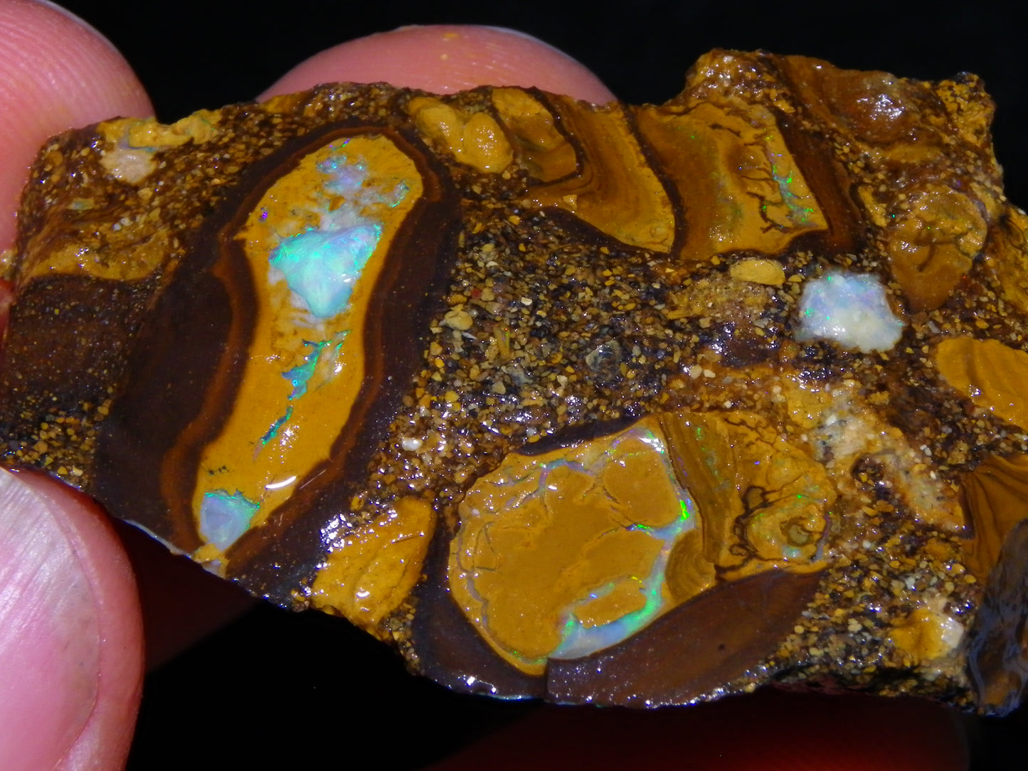 4 Nice Rough/Sliced Conglomerate/Boulder Opals 775cts Queensland Australia Nuts/Pods