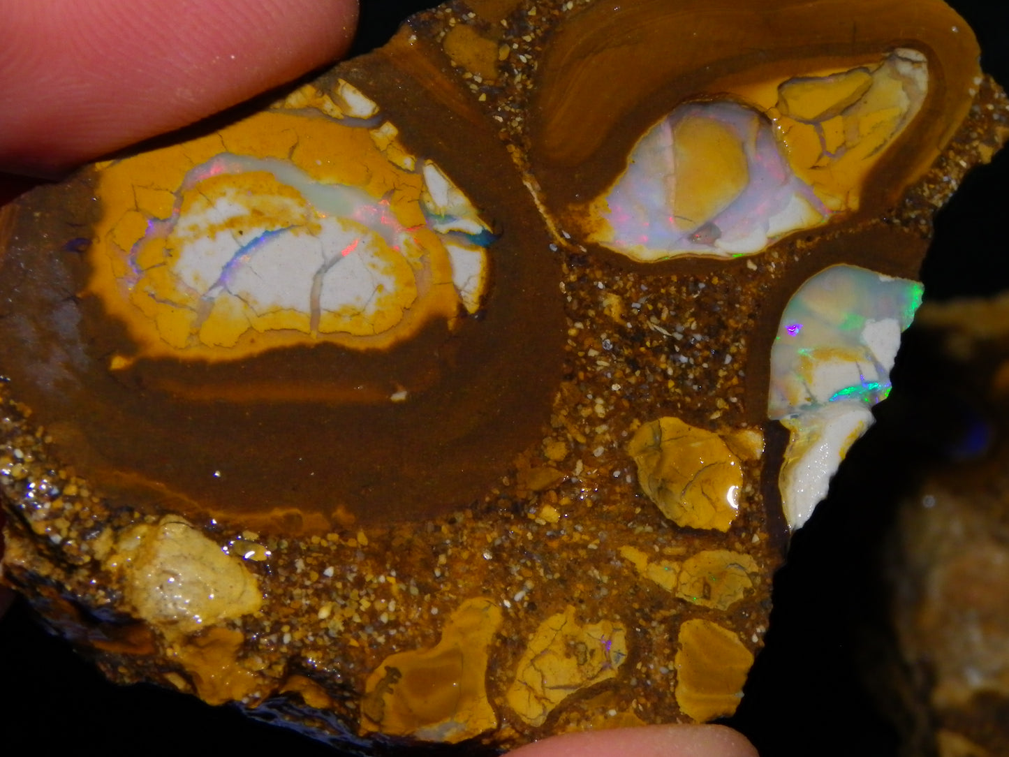 4 Nice Rough/Sliced Conglomerate/Boulder Opals 775cts Queensland Australia Nuts/Pods