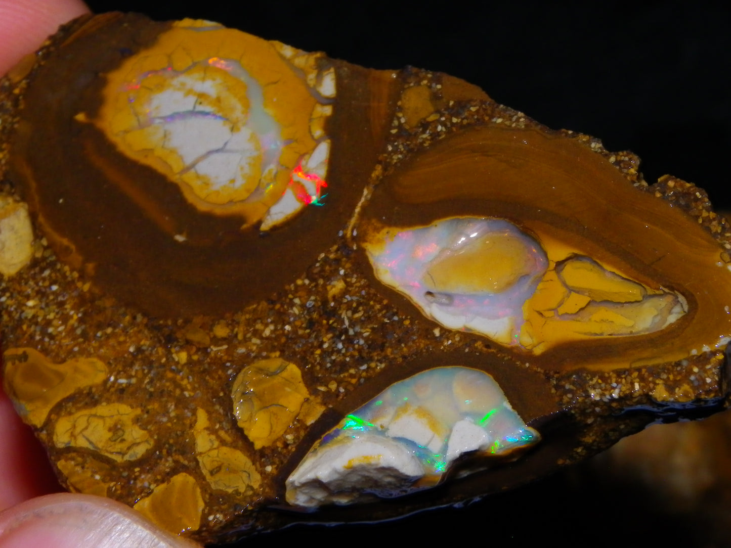 4 Nice Rough/Sliced Conglomerate/Boulder Opals 775cts Queensland Australia Nuts/Pods