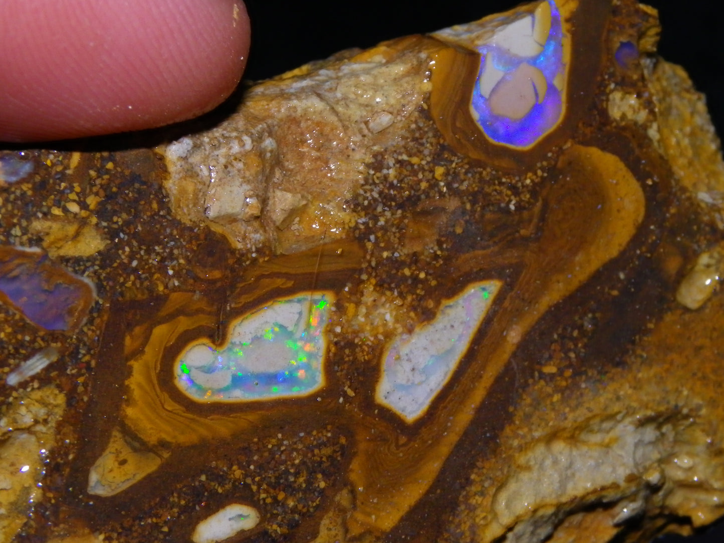 4 Nice Rough/Sliced Conglomerate/Boulder Opals 775cts Queensland Australia Nuts/Pods