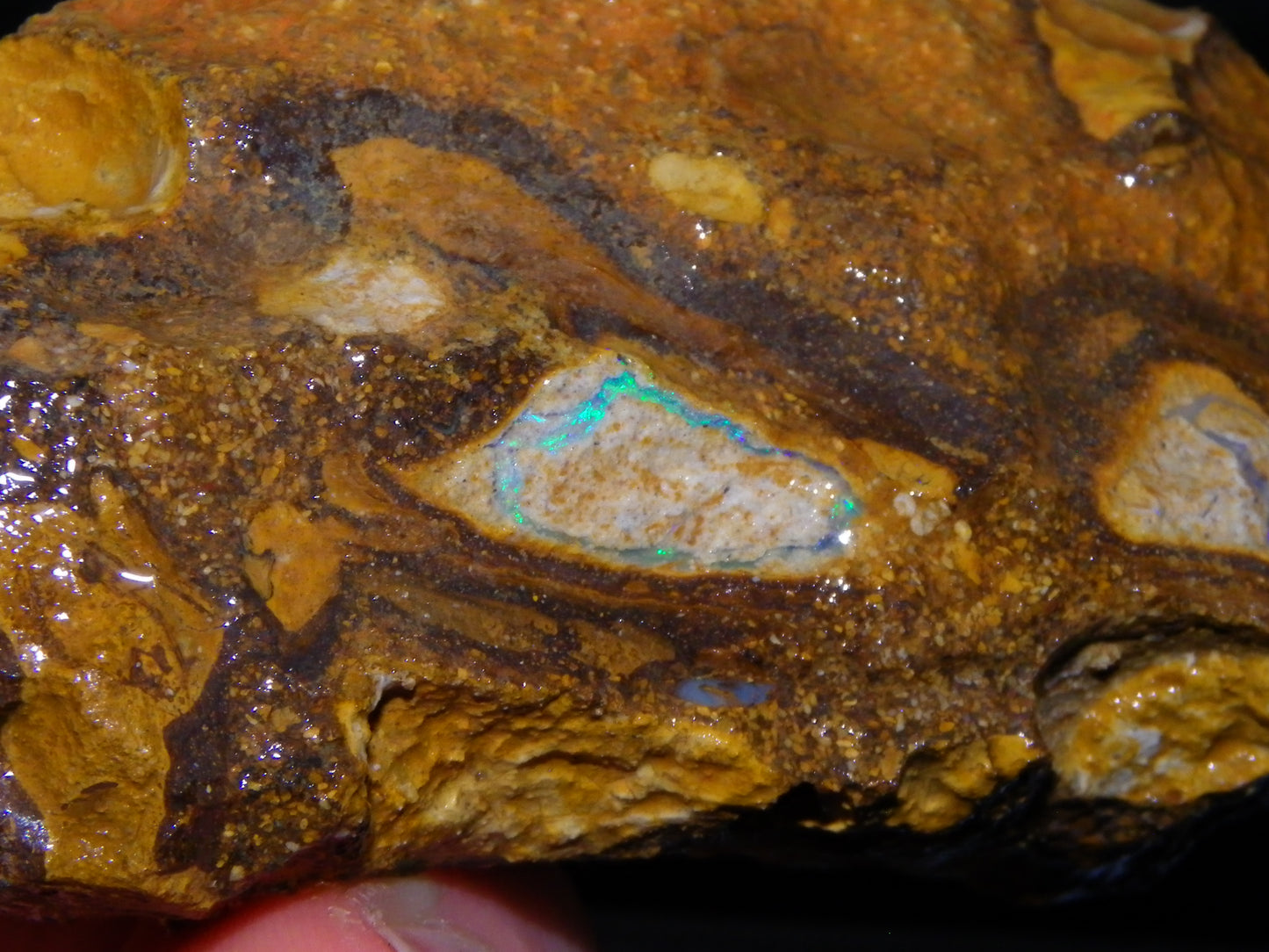 4 Nice Rough/Sliced Conglomerate/Boulder Opals 775cts Queensland Australia Nuts/Pods