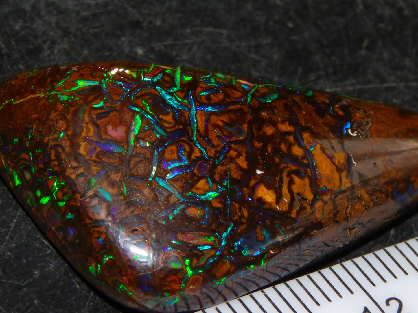 Superb Gem Koroit Opal Freeform Cab 50.69cts Bright Green/Blue Fires/veins Investment