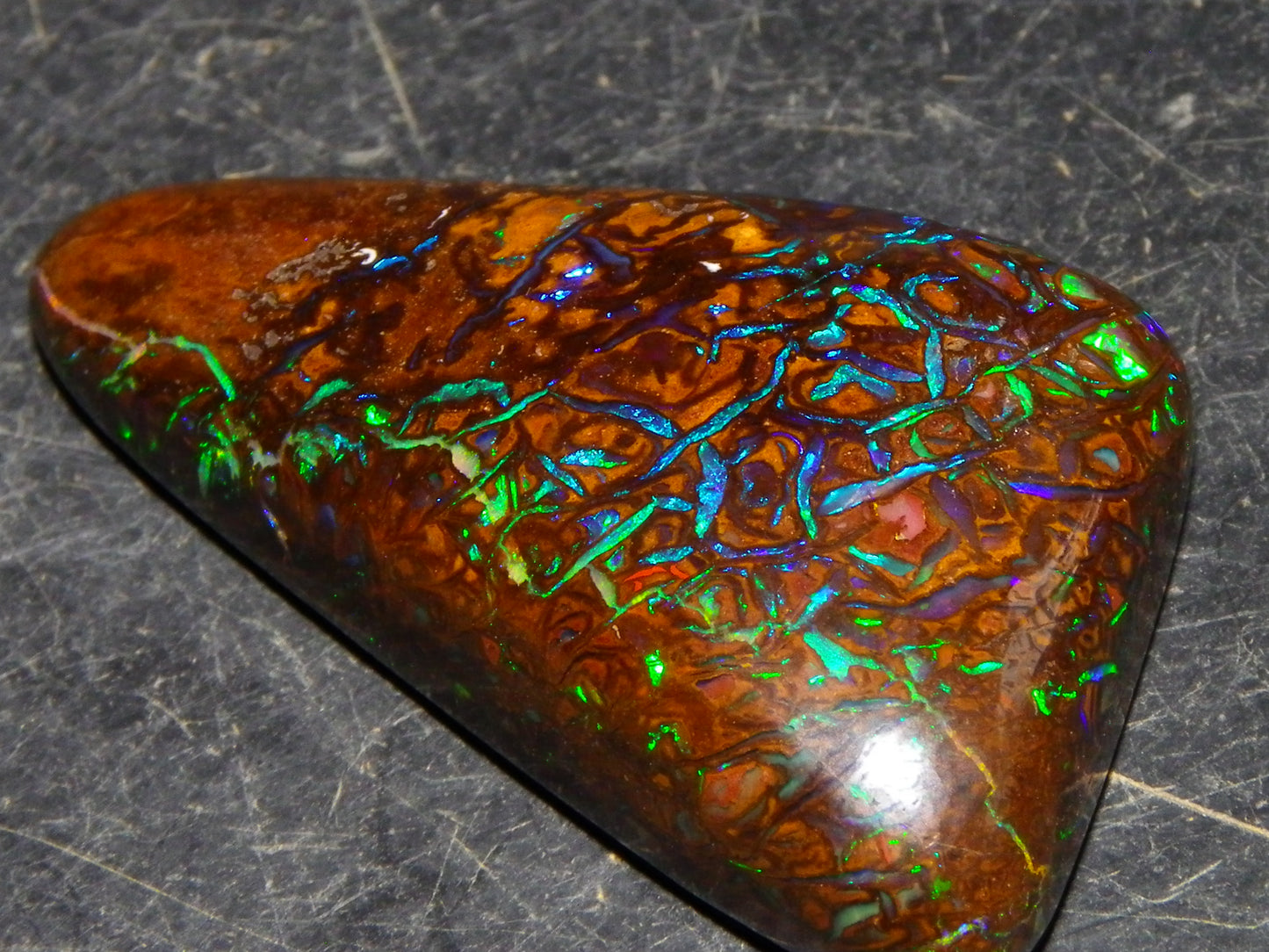 Superb Gem Koroit Opal Freeform Cab 50.69cts Bright Green/Blue Fires/veins Investment