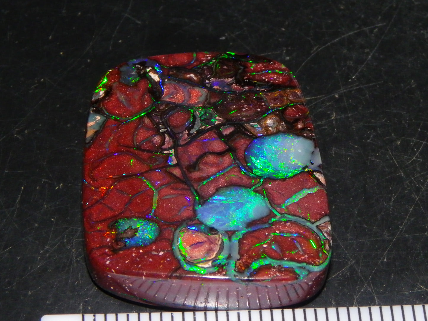 Unusual Gem Koroit Opal Cab 45.28cts Pools/Ponds of Opal Bright Green Veins Qld Australia