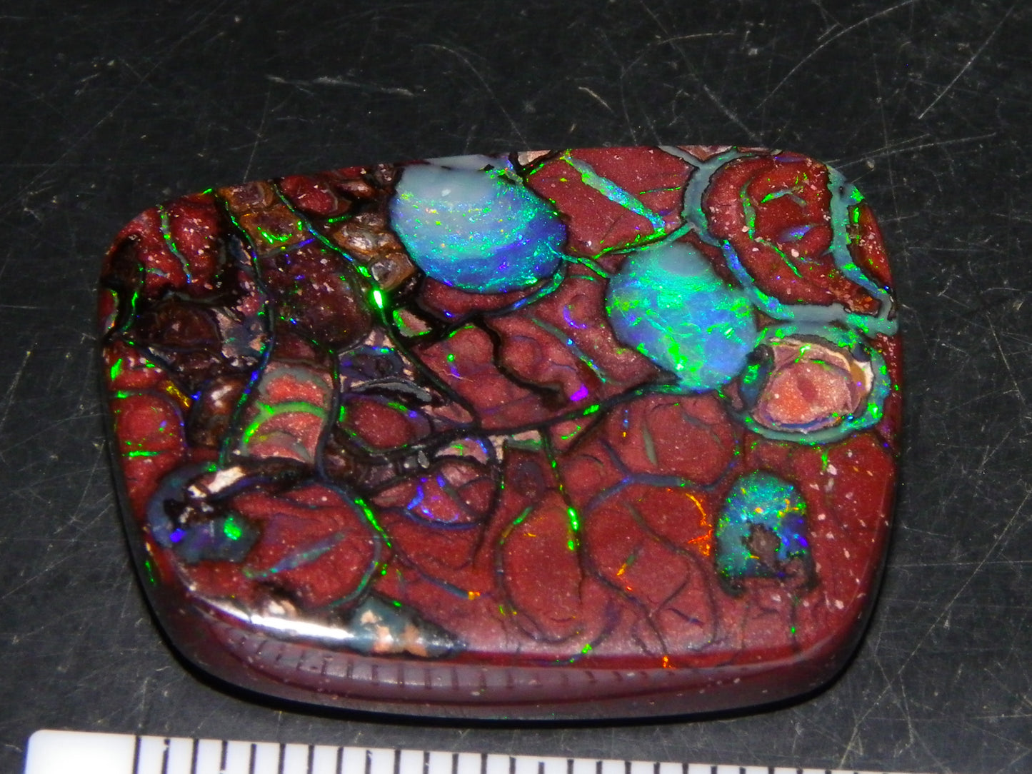 Unusual Gem Koroit Opal Cab 45.28cts Pools/Ponds of Opal Bright Green Veins Qld Australia