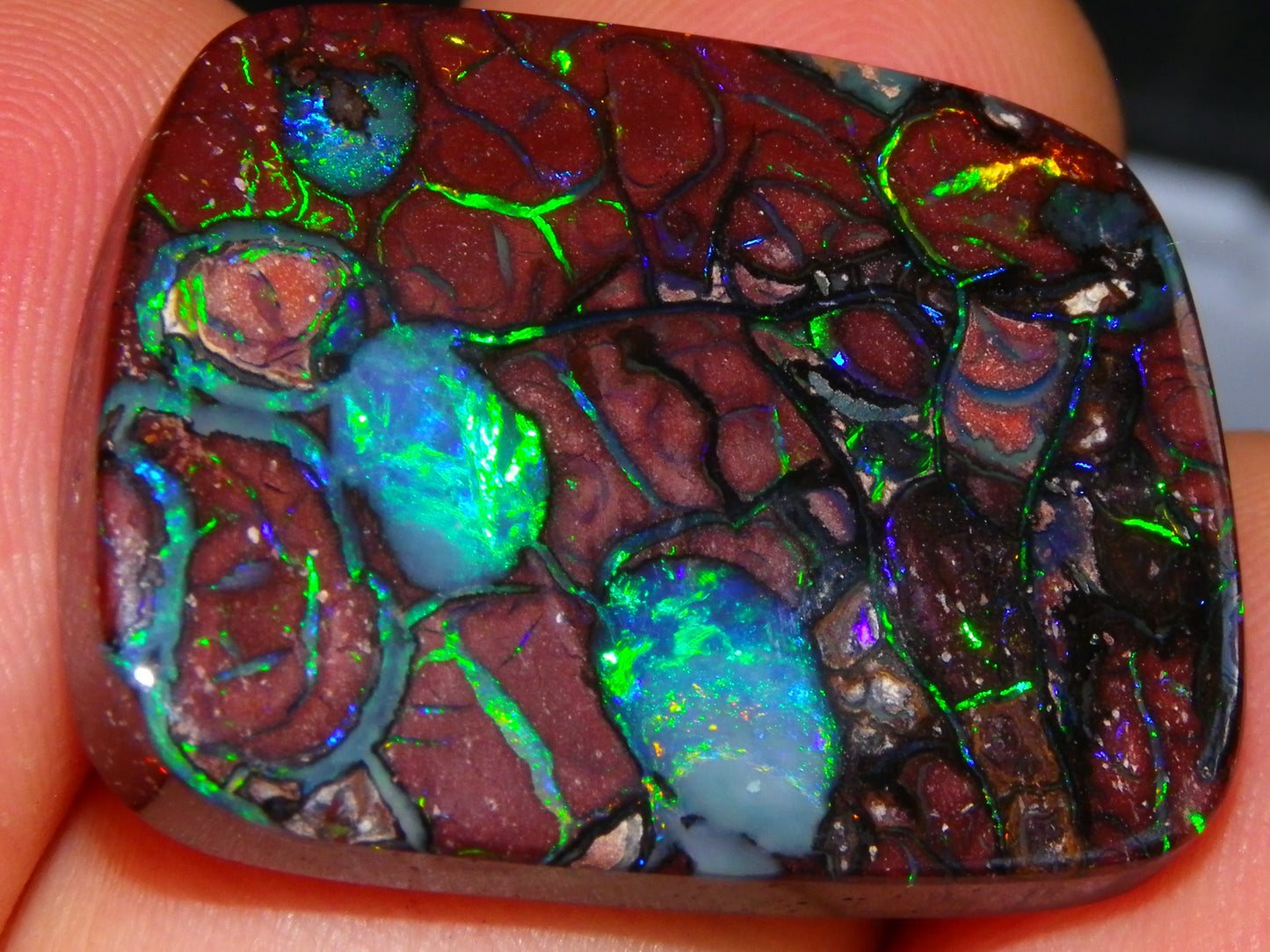 Unusual Gem Koroit Opal Cab 45.28cts Pools/Ponds of Opal Bright Green Veins Qld Australia