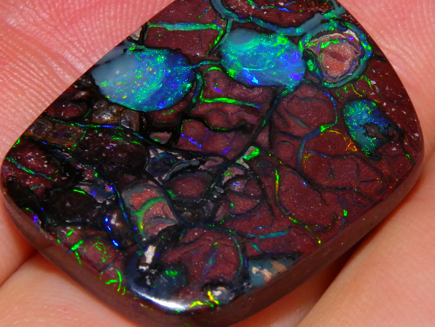 Unusual Gem Koroit Opal Cab 45.28cts Pools/Ponds of Opal Bright Green Veins Qld Australia
